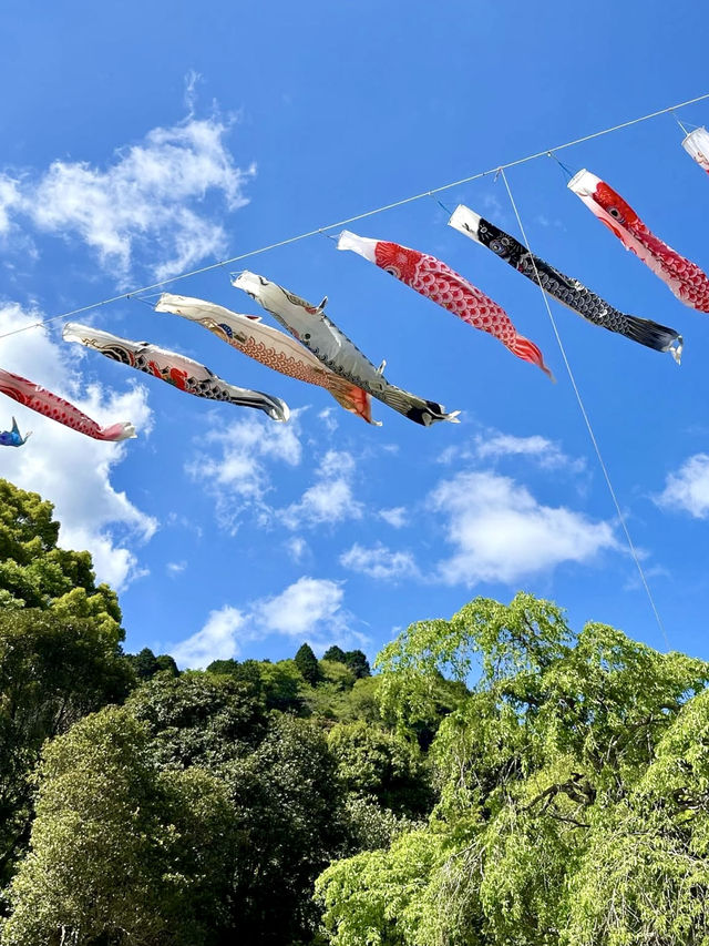 Spring Hike at Himenosawa Park