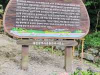 A Peaceful Getaway at Maninsan Forest Retreat