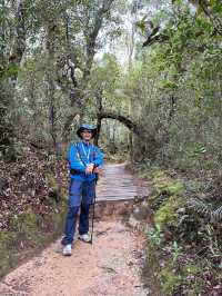 馬來西亞沙巴神山Mt. Kinabalu自由行