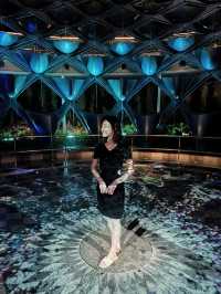 The Immersive Wxperience of Sentosa Sensoryscape