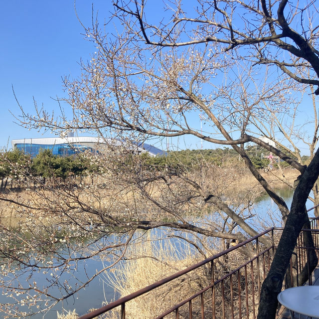 군산 1박 2일 여행코스 추천✨