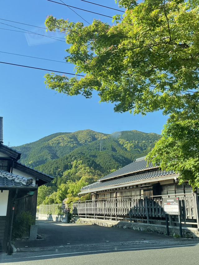 稻荷神社⛩️九州浮羽朝倉鄉間溫泉自駕遊