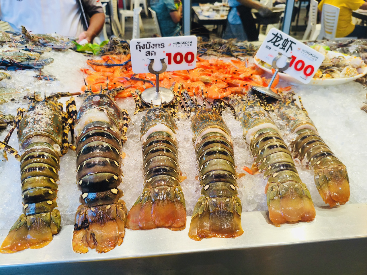 Restoran hidangan laut sepuasnya ini sudah lama dinantikan suami saya. Dia mendengar banyak orang merekomendasikannya, bahkan sopir taksinya pun memujinya saat kami di dalam mobil! Antusiasme kami pun membumbung tinggi!

Benar saja, kami langsung terpukau dengan kelezatan hidangan lautnya begitu masuk! Kami melahap habis berbagai udang segar. Sejujurnya, saya biasanya tidak makan udang, tapi udang di sini sungguh luar biasa! Dipadukan dengan saus khas mereka, saya tak bisa berhenti menyantapnya. Setiap udangnya begitu empuk, juicy, dan sangat memuaskan.

Meskipun restorannya agak terpencil, harganya sangat terjangkau untuk kualitas dan bahan-bahannya. Benar-benar sepadan dengan harganya! Satu-satunya keluhan saya adalah kepitingnya agak terlalu banyak dagingnya, tapi kalau saya kembali lagi nanti, saya rasa saya akan menghabiskan semua udangnya dan akan lebih puas lagi.

Restoran ini menawarkan area ber-AC dan non-AC. Cuaca Bangkok lebih nyaman di malam hari, tidak sepanas siang hari. Bagi yang tidak keberatan dengan minimnya AC, area tanpa AC adalah pilihan yang tepat karena luas dan nyaman.

Pesta hidangan laut ini sungguh lezat! Saya sangat merekomendasikannya kepada semua orang! Patut dicoba!

📍Informasi Berguna

Nama | Prasmanan Makanan Laut & Pasar Ikan Mungkorn

Jam Buka | 14.00 - 22.00

#MakanSepuasnyaBangkok #SukaHidanganLaut #UdangLezat #RekomendasiMakananBangkok #WisataThailand #WajibMakanBangkok #NilaiHebat
#DestinasiApril2025
