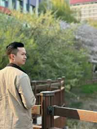 Gwangju: A Quiet Bloom in Korea’s Artistic SoulLocation: Gwangju, South Korea