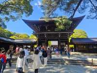 “Whispers of the Forest: Sakura Spirits of Meiji”