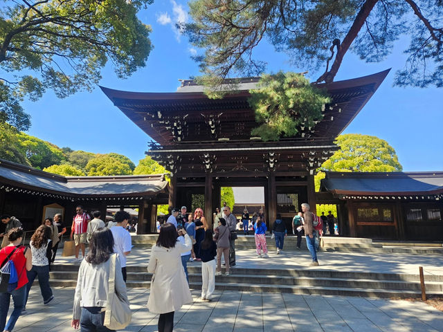 “Whispers of the Forest: Sakura Spirits of Meiji”
