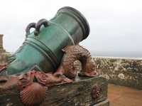 A Rain-Kissed Spring at Culzean: Blooms, Castles, and Enchanted Woods