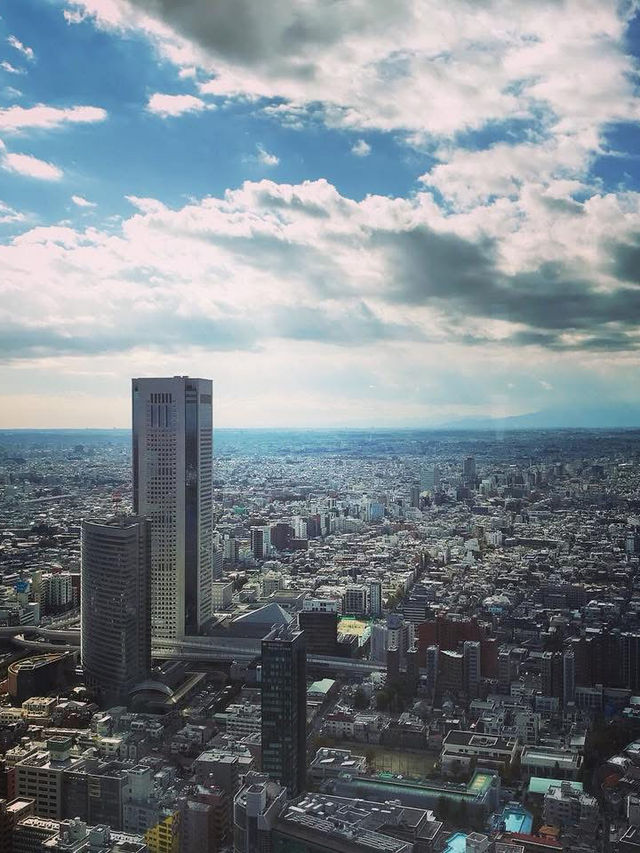 Tokyo Metropolitan 
