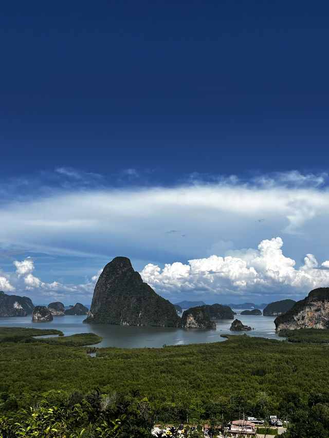 เสม็ดนางชี