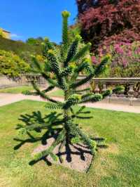 Stepping into a Victorian Wonderland: Biddulph Grange Garden