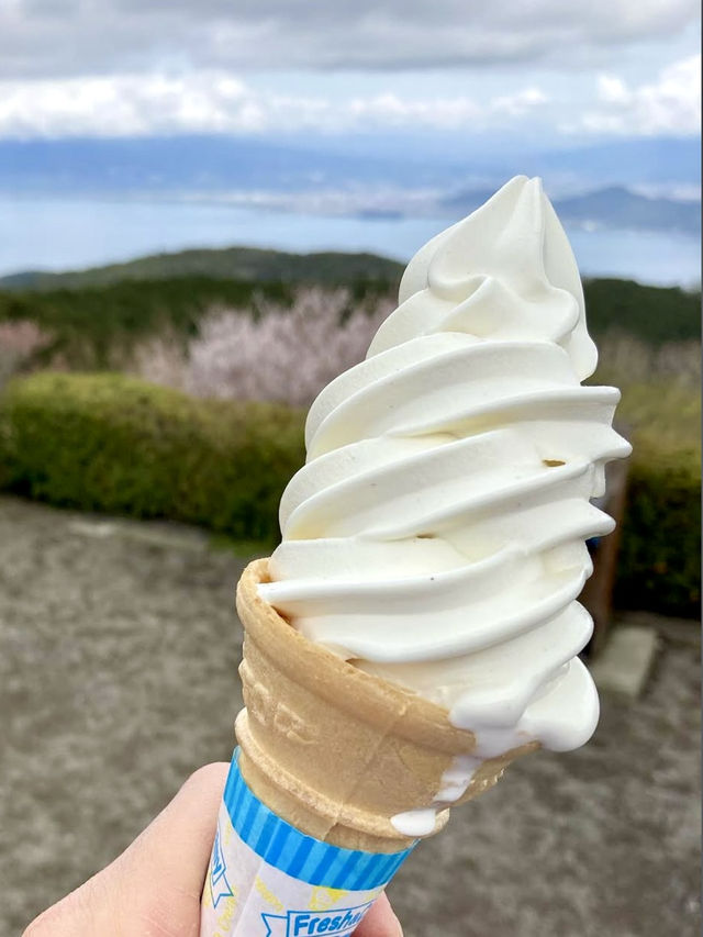 A Local Stroll Through Shuzenji – Temples, Blossoms & Comfort Food
