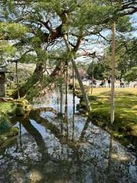 Kenroku-en Garden: A Timeless Cherry Blossom Experience in Kanazawa