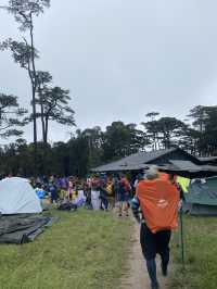 ภูสอยดาว หนาวเกินต้านนน