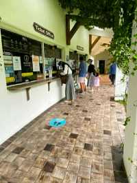 ECOLAND IN JEJU ISLAND.