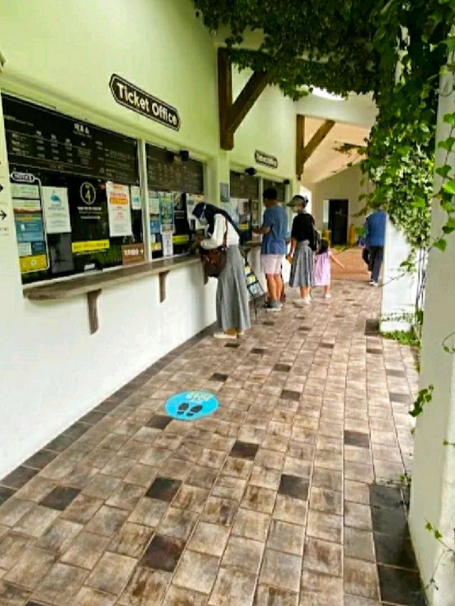 ECOLAND IN JEJU ISLAND.