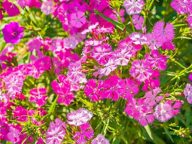 Yamashita Park – Yokohama’s Waterfront Gem
