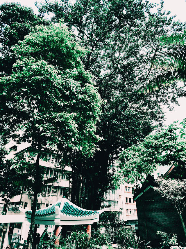 石水渠街花園｜灣仔隱秘打卡綠洲