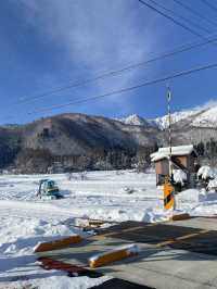 日本白馬真是一個很適合滑雪和看雪的地方🏂❄️❄️