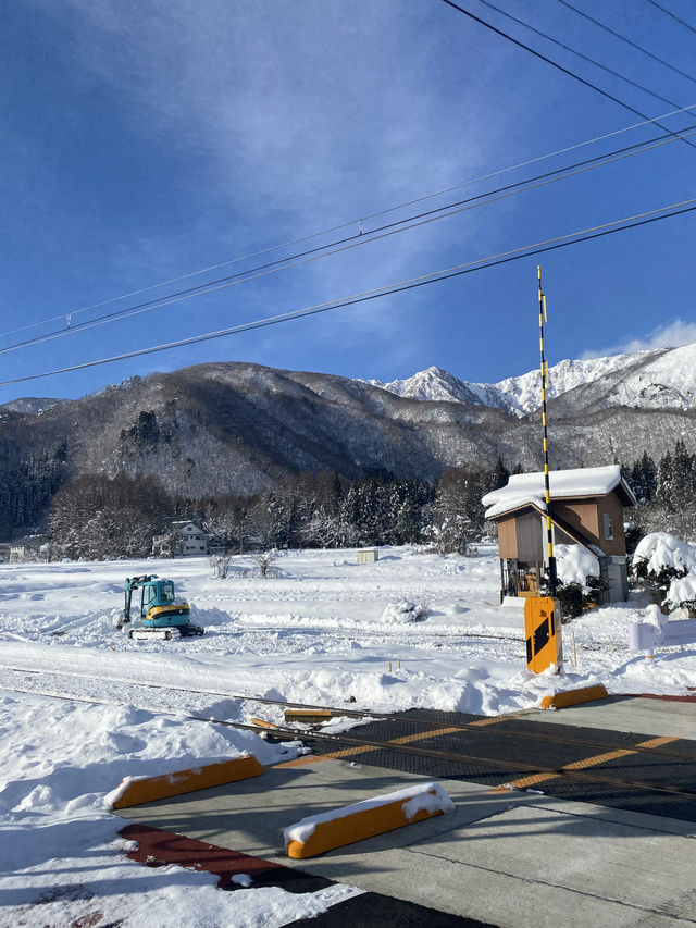 日本白馬真是一個很適合滑雪和看雪的地方🏂❄️❄️
