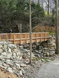 America’s First Highway: Journey the National Road