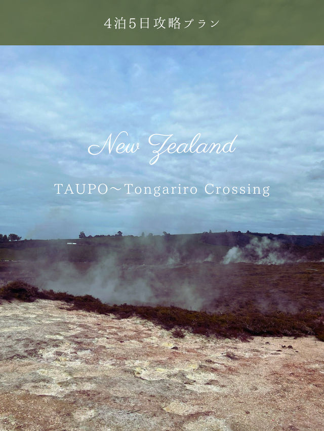 【NZ】タウポ＆トンガリロ4泊5日攻略🗻自然と火山のパワーを体感するアドベンチャー旅