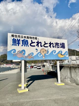 Enjoy Delicious Oyster BBQ by the Sea in Hyogo