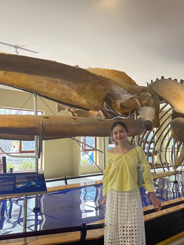 18 Meters of Whale Wonder 🐋 😲
