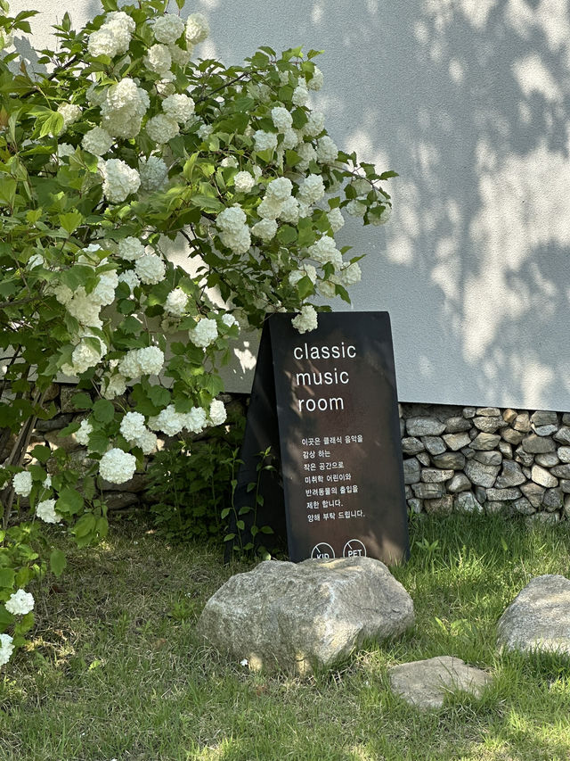 🌻가평의 잔잔하고 평화로운 자연풍경과 함께 🩵 빵과 커피가 맛있는 베이커리 카페투어