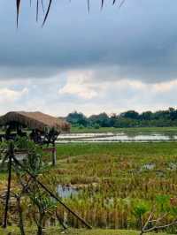 Phanumaslongstay & Resort – Your Tranquil Home Away from Home
