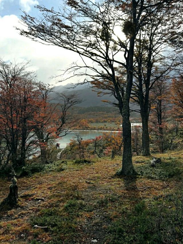 Tierra del Fuego National Park – Where the World Begins
