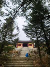 아이와 영주역사여행 [영주 부석사]