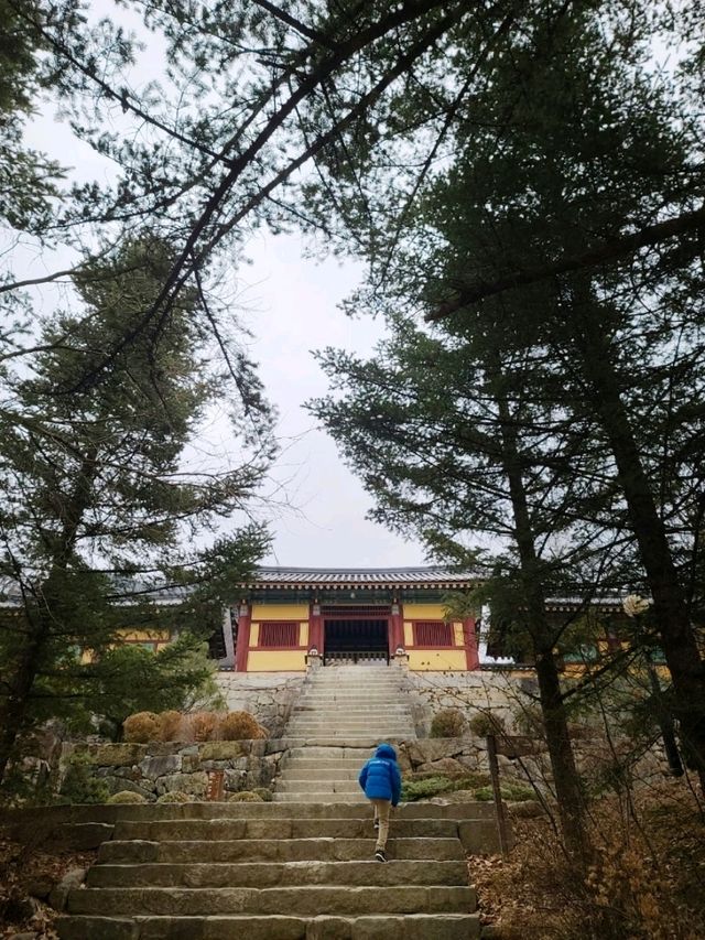 아이와 영주역사여행 [영주 부석사]