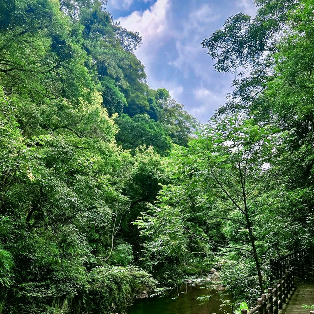 ~美麗綠野～南山風景區~  