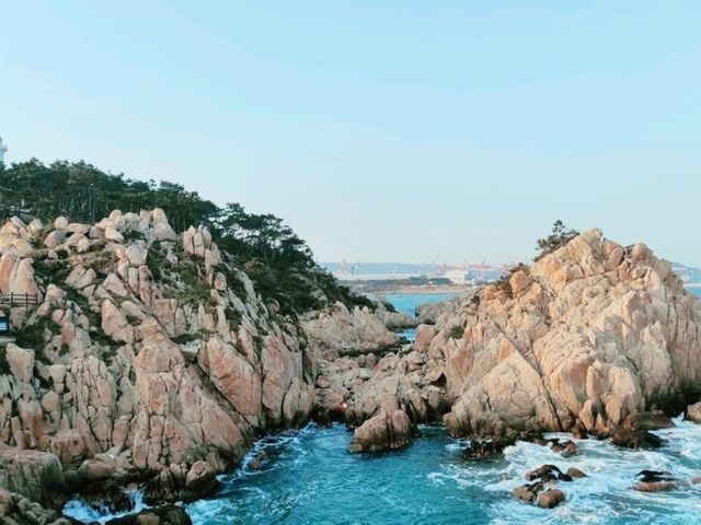 울산 하루 코스: 오전엔 숲, 오후엔 바다, 밤엔 관람차