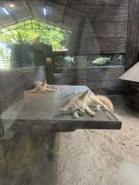 Perfect spot for children to visit in KL! 