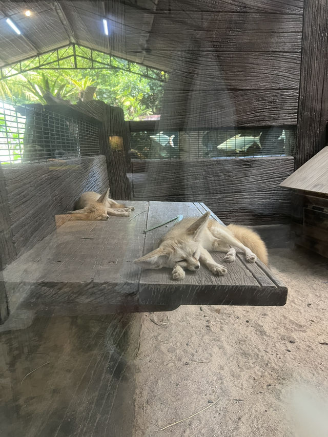 Perfect spot for children to visit in KL! 
