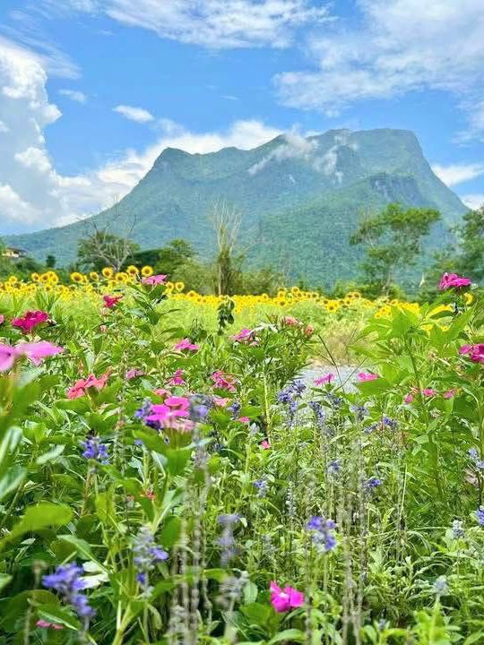 タイの街歩きで、心も体もリフレッシュしよう！🌴✨