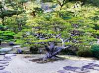 【🇯🇵高松】栗林公園内の風情ある茶室「掬月亭」で味わう抹茶のひととき
