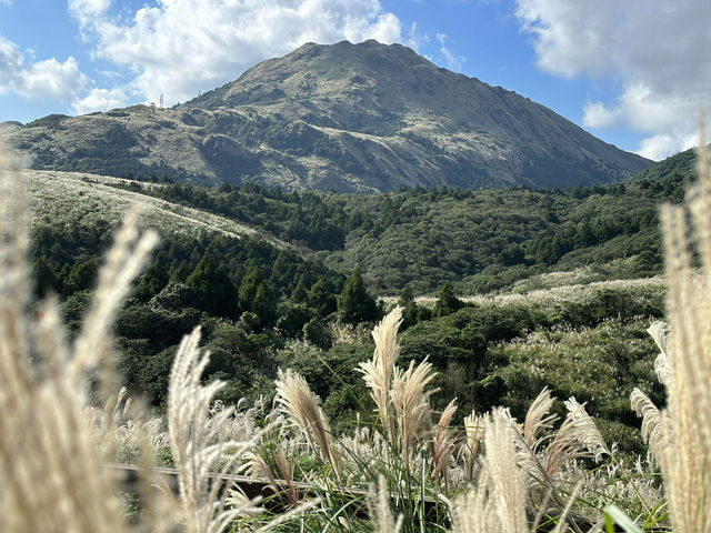 A worthy national park in Taipei A worthy national park in Taipei