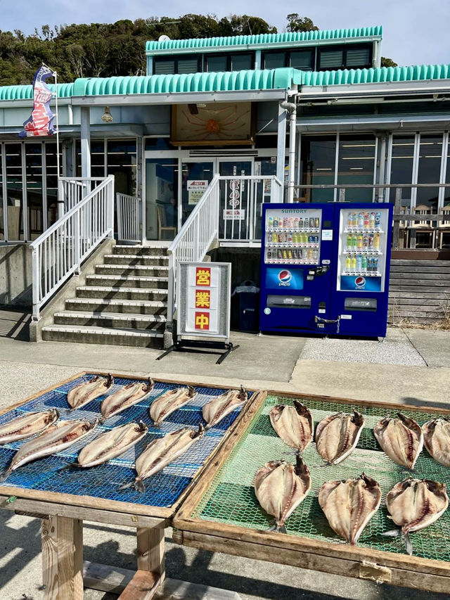 A Relaxing Day Trip to Mt. Nokogiri