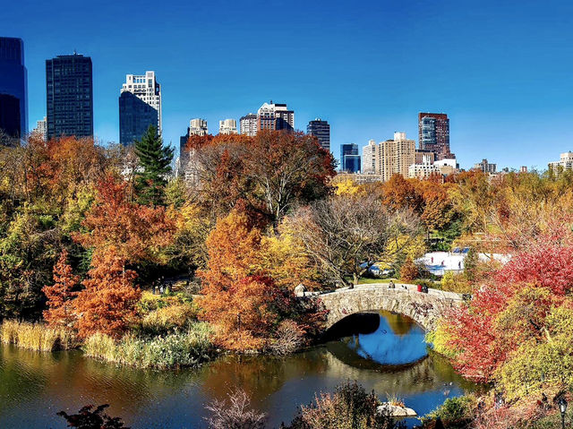 Central Park