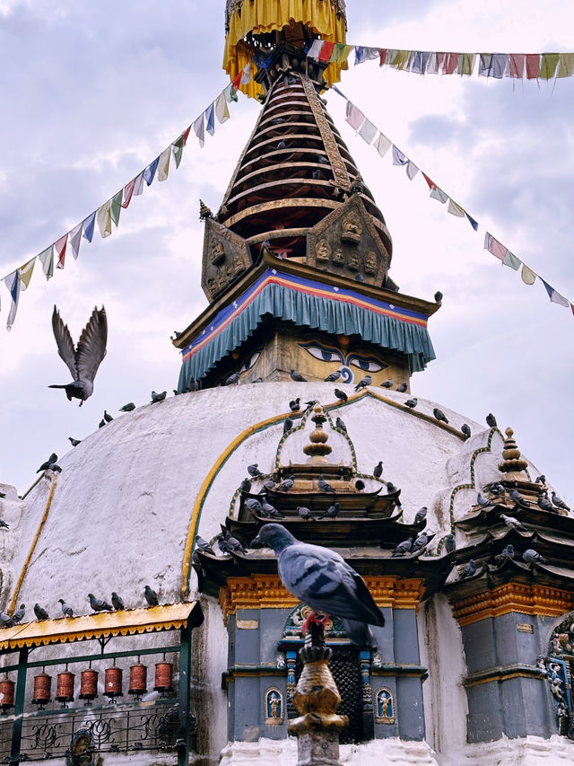 8 Buddhist temple in Kathmandu valley 