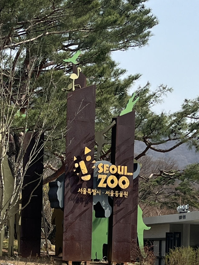 『ソウル動物園🐅』IN Korean🇰🇷