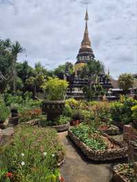 The golden pagoda believed to house sacred relics of Buddha site gracefully on a hilltop🌳
