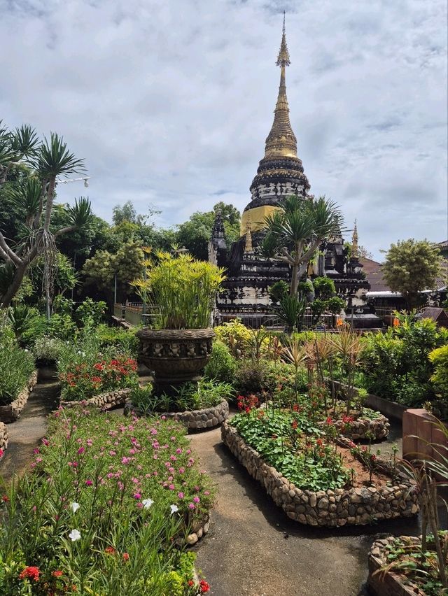 The golden pagoda believed to house sacred relics of Buddha site gracefully on a hilltop🌳
