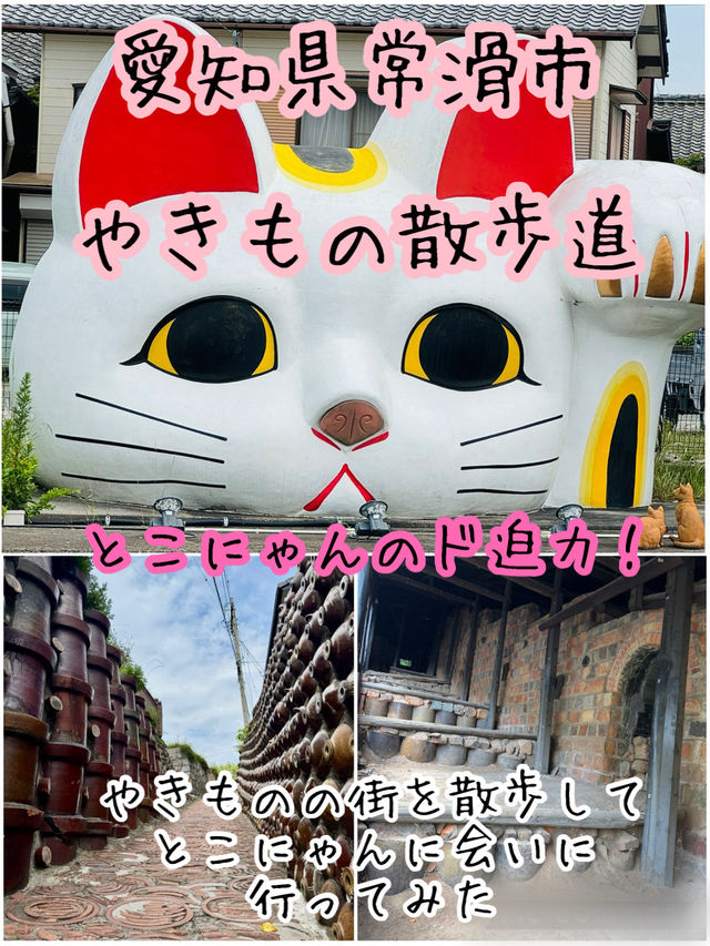 常滑市のとこにゃんに会いに行こう！