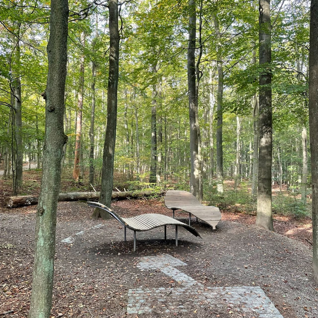 Eifel National Park Hike 🌲🚶‍♀️