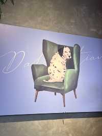 Dalmatian 달마시안 Siam Square Block I