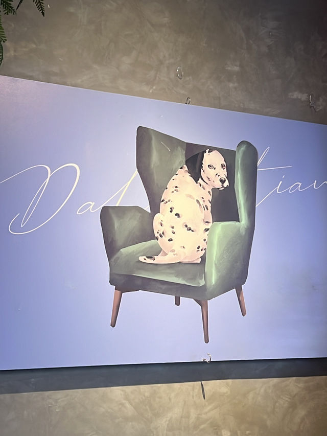 Dalmatian 달마시안 Siam Square Block I