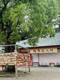 日本 大阪｜住吉大社｜五大力祈願與太鼓橋的靈氣巡禮
